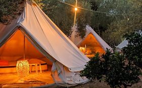 Garden Lake Camping